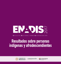 Portada: Resultados sobre personas indígenas y afrodescendientes