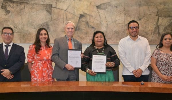 Portada: Atención sin barreras: enfoque diferenciado e interseccional